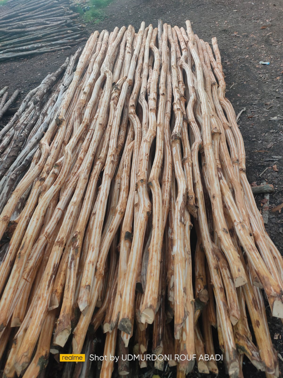 Stok Dolken Puspa ukuran 4 sampai 6 cm dari UD Murdoni Rouf Abadi