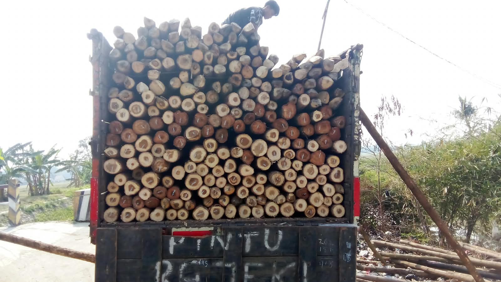 Kayu Dolken